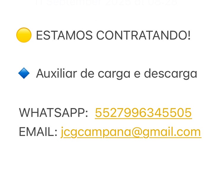 Auxiliar de Carga de Descarga