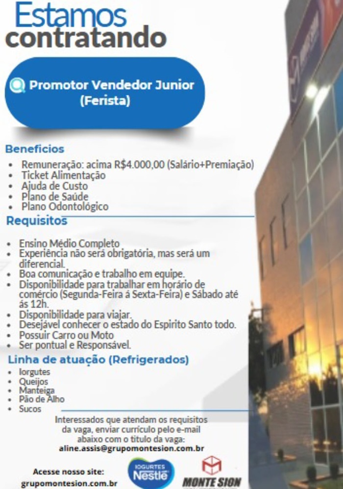 PROMOTOR VENDENDOR JÚNIOR (FERISTA)