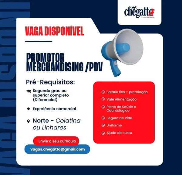 PROMOTOR DE MERCHANDISING / PDV