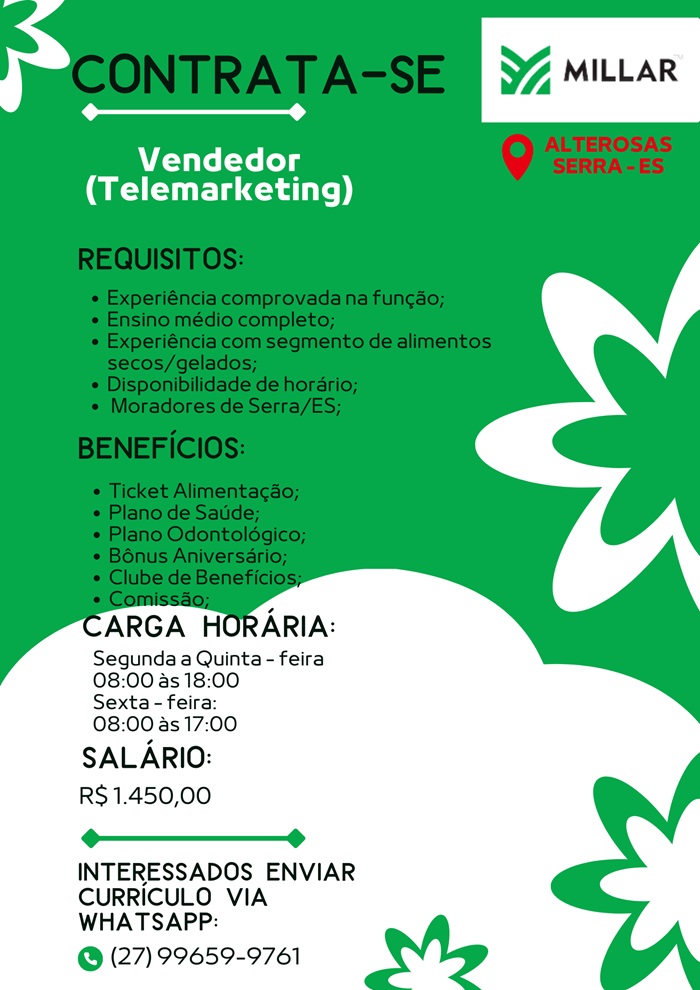 VENDEDOR (TELEMARKETING)