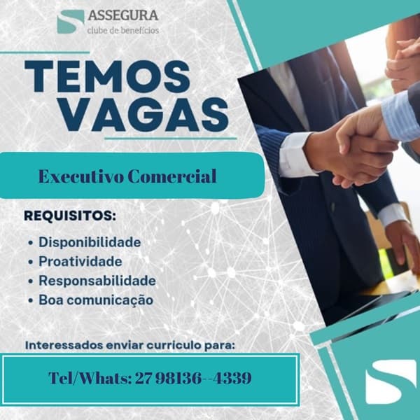 EXECUTIVO COMERCIAL