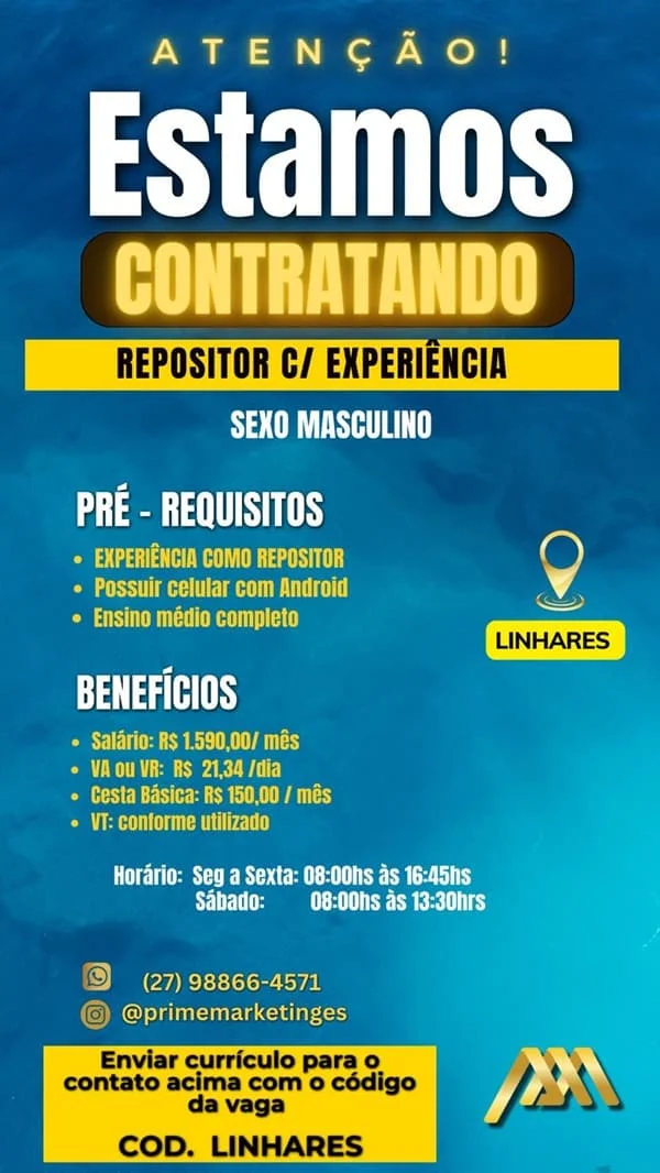 VAGA DE REPOSITOR
