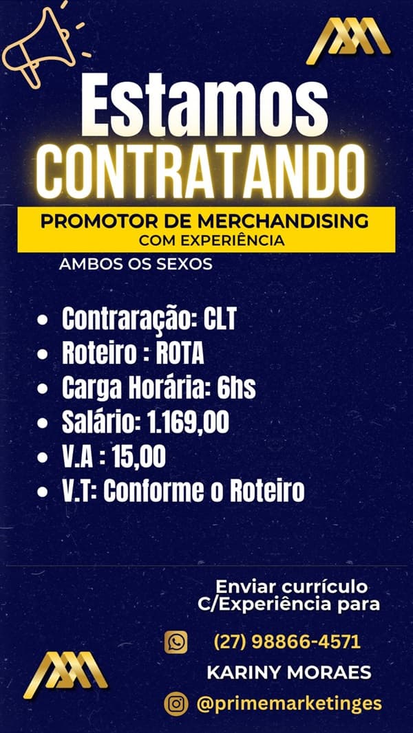 PROMOTOR DE MERCHANDISING