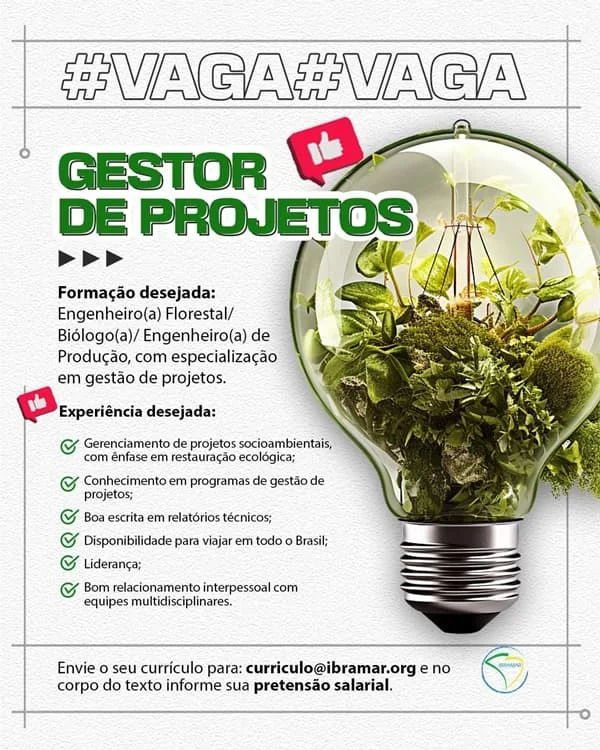 GESTOR DE PROJETOS