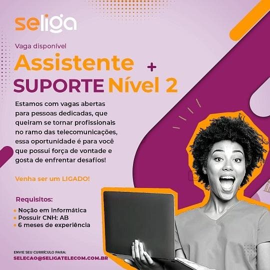 ASSISTENTE SUPORTE NÍVEL 2