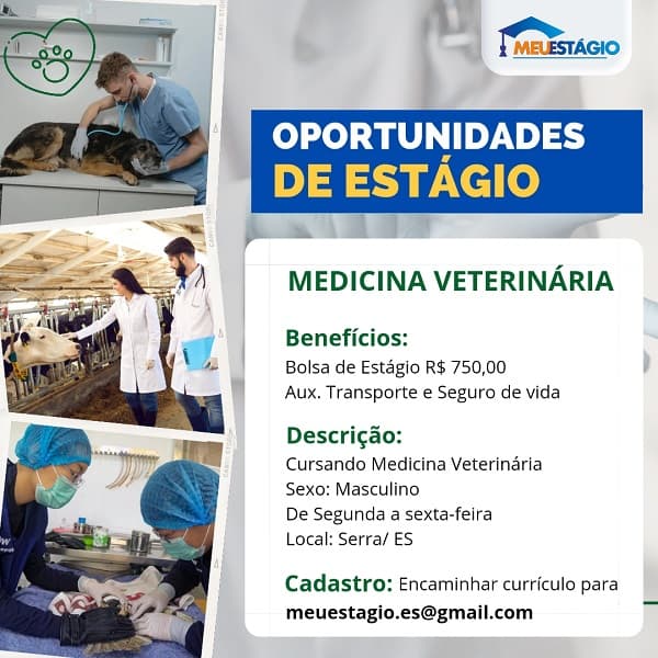 MEDICINA VETERINÁRIA - 03 Vagas de Estágio