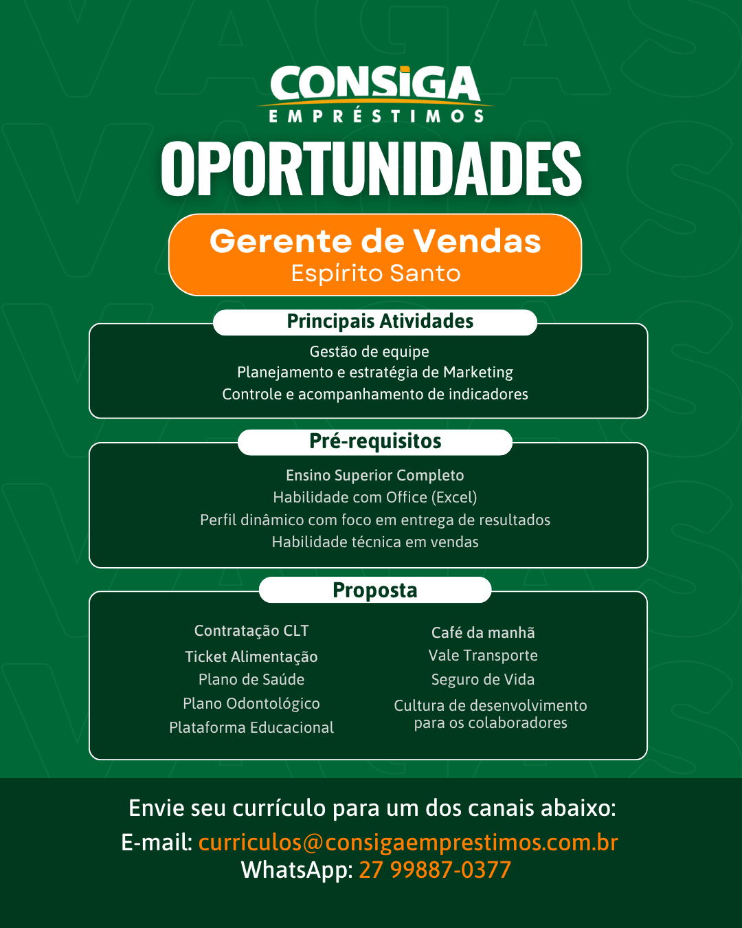 Gerente_de_Vendas.png