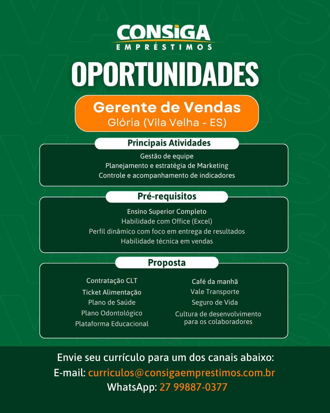Gerente_de_Vendas_4.png