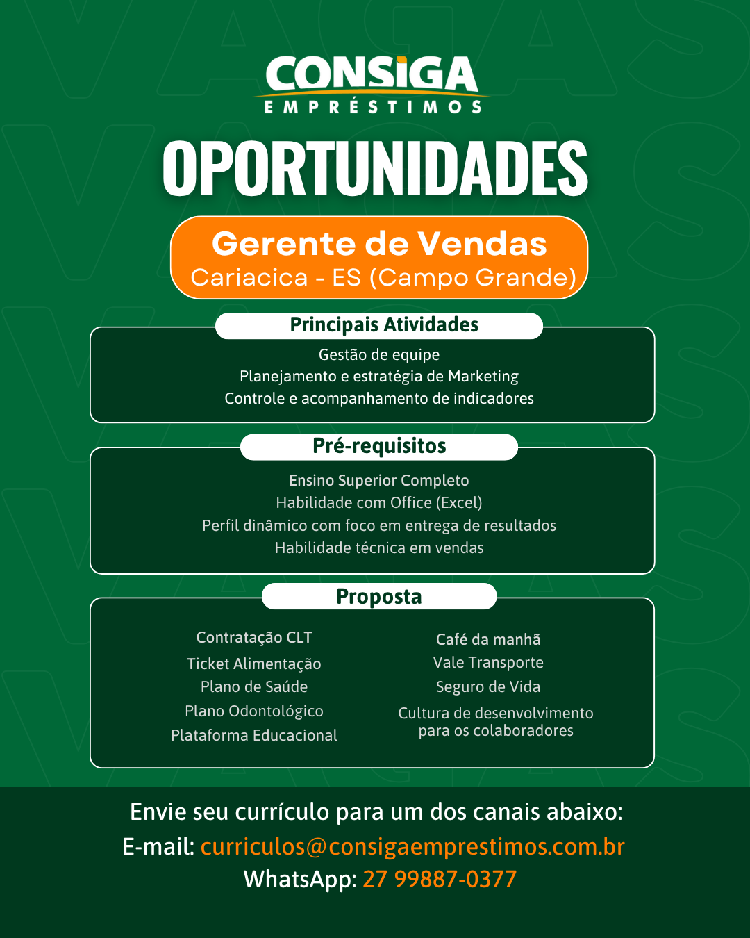 Gerente_de_Vendas_5.png