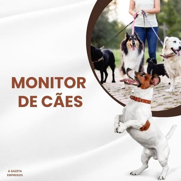 MONITOR DE CÃES