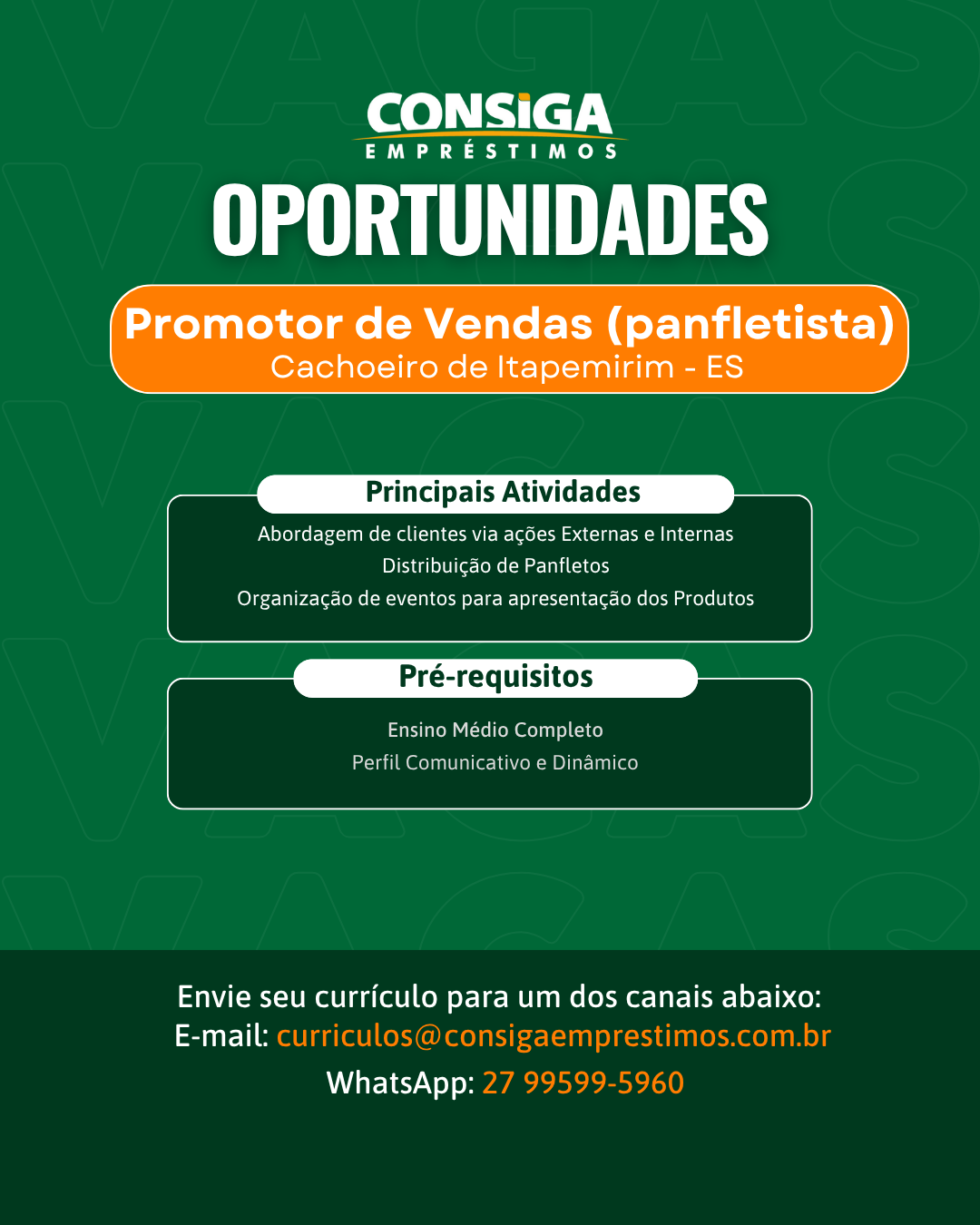 Promotor_de_Vendas_panfletista_7.png