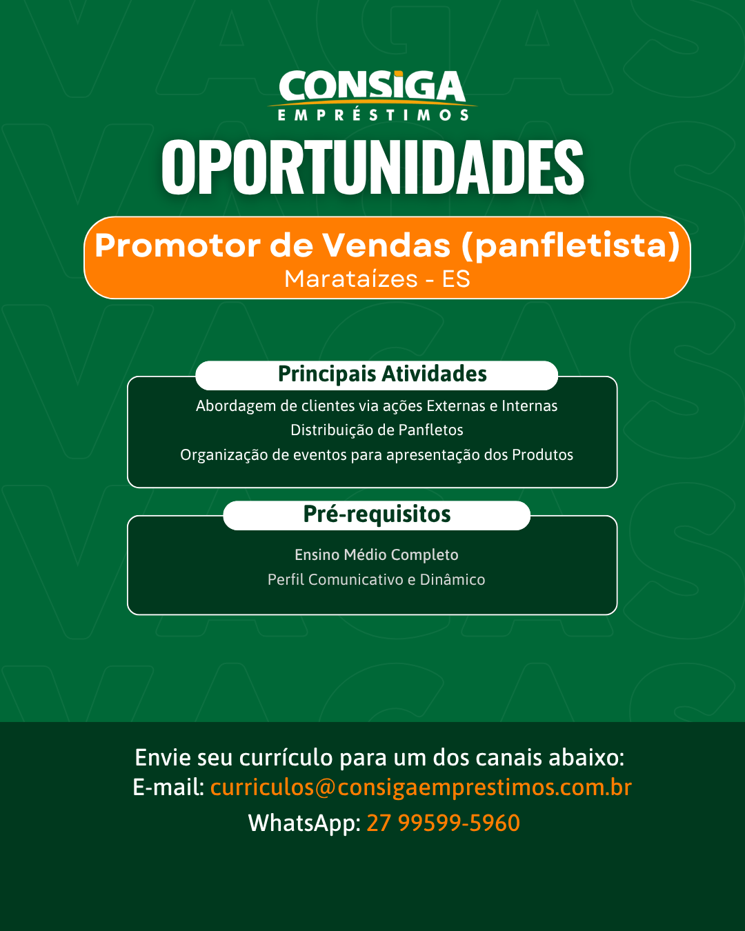 Promotor_de_Vendas_panfletista_8.png