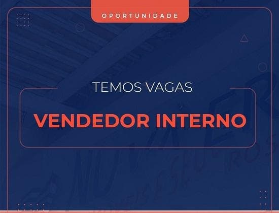 VENDEDOR INTERNO 