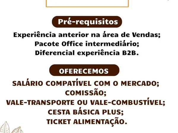 SOCAU contrata Consultor de Vendas Interno
