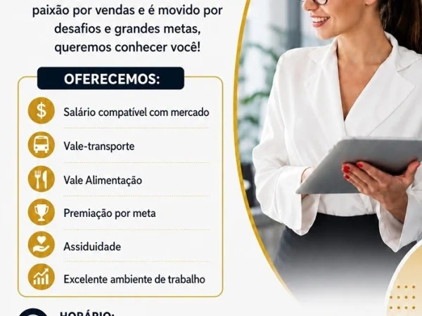 VAGA PARA VENDEDORA